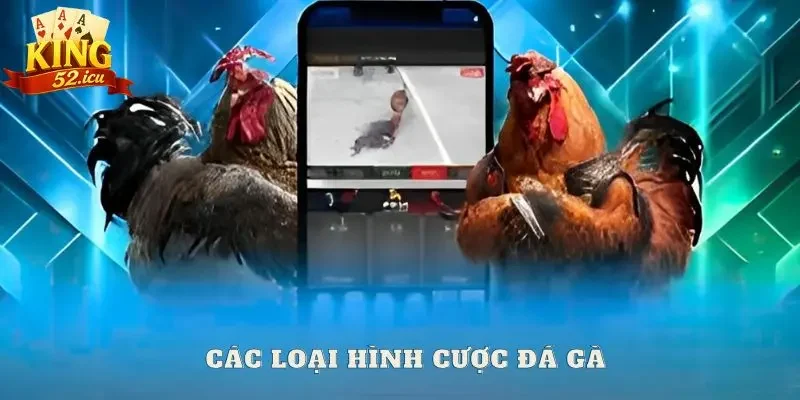 đá gà Các loại hình cược chọi gà