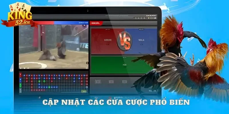 đá gà Cập nhật các cửa cược phổ biến