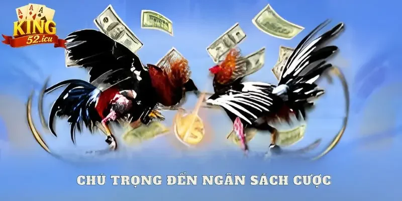 đá gà Chú trọng đến ngân sách cược